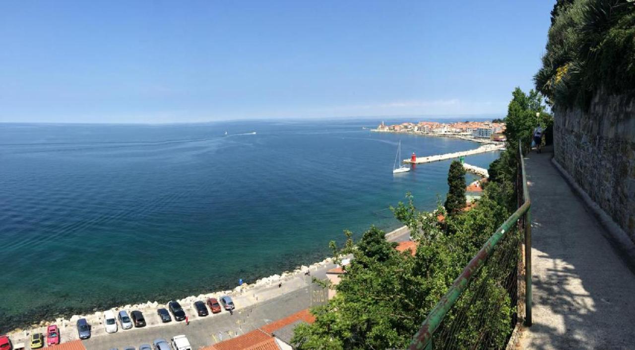 Mirjana * Piran